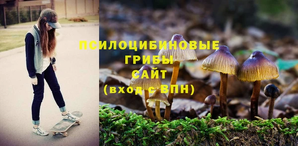 винт Алзамай