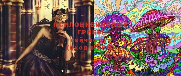 винт Алзамай