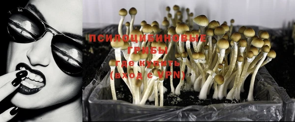 винт Алзамай