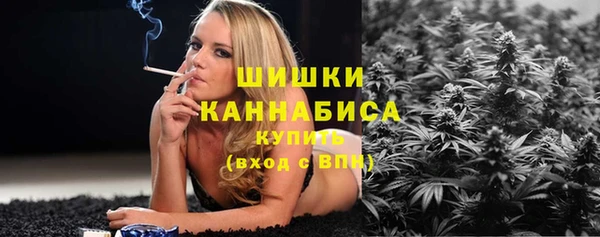 Альфа ПВП Магас